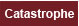 Catastrophe Claims Services